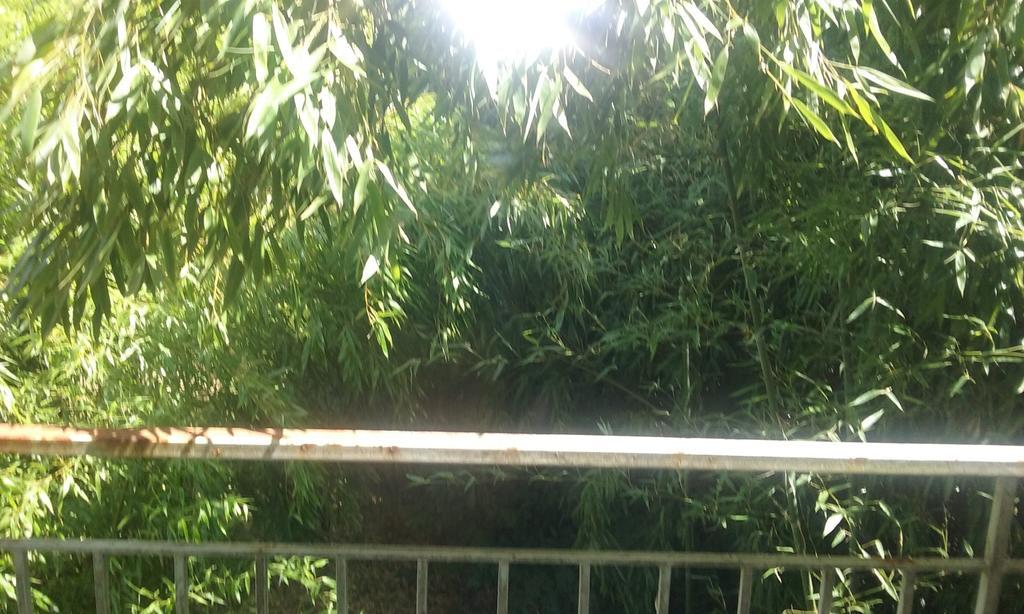 مبيت وإفطار Couffy Le Moulin Du Modon Proche Du Zooparc De Beauval المظهر الخارجي الصورة